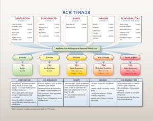 ACR TIRADS – Abdominal Imaging Resources